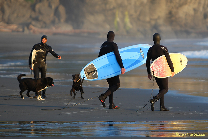 Surfers