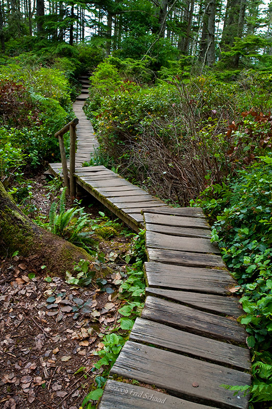 Trail to the Cape