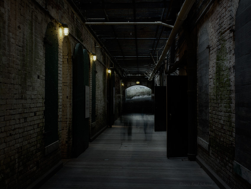 Dark Chambers 