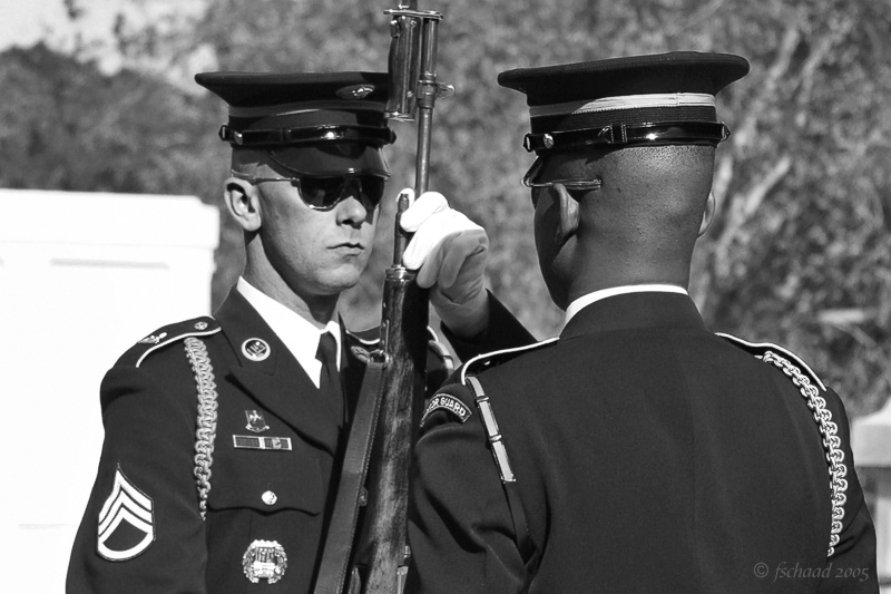 Honor Guard 06