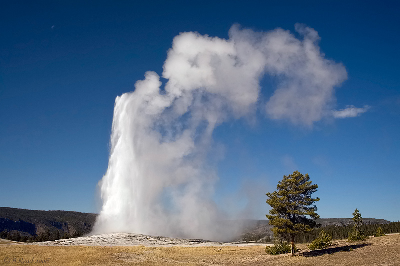 Old Faithful