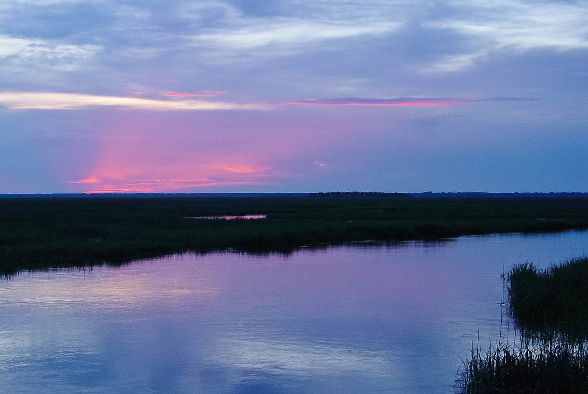 twilight in the spartina marsh