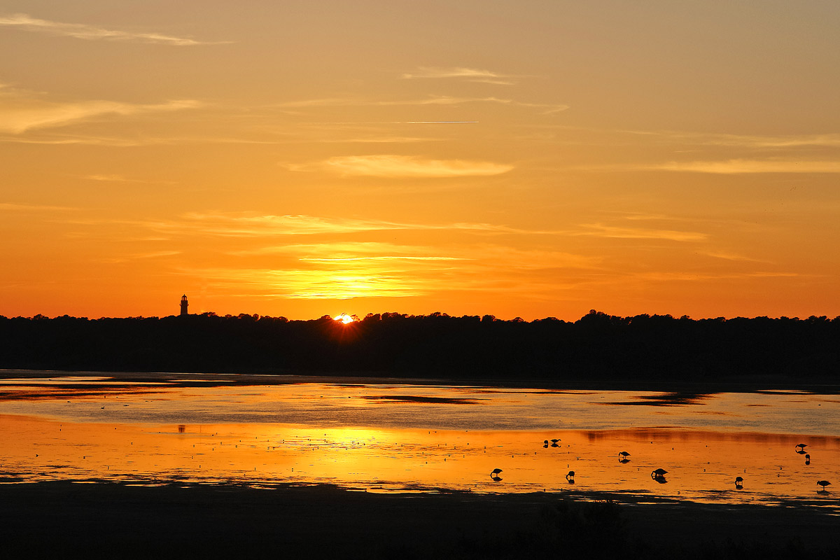 golden evening on assateague island