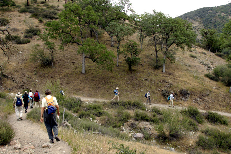 Descending on the Condor Gulch Trail