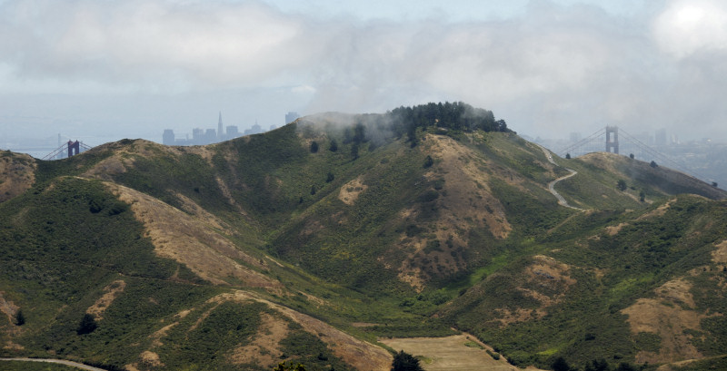 Distant view of the Golden Gate Bridge and SF Skyline