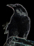 DSC06544 u.JPG