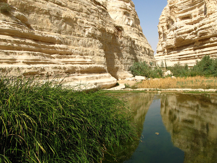 Ein Ovdat canyon