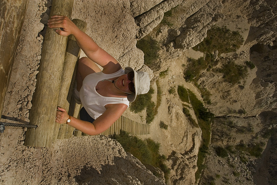 07-15-08 NT Ladder 1895.jpg