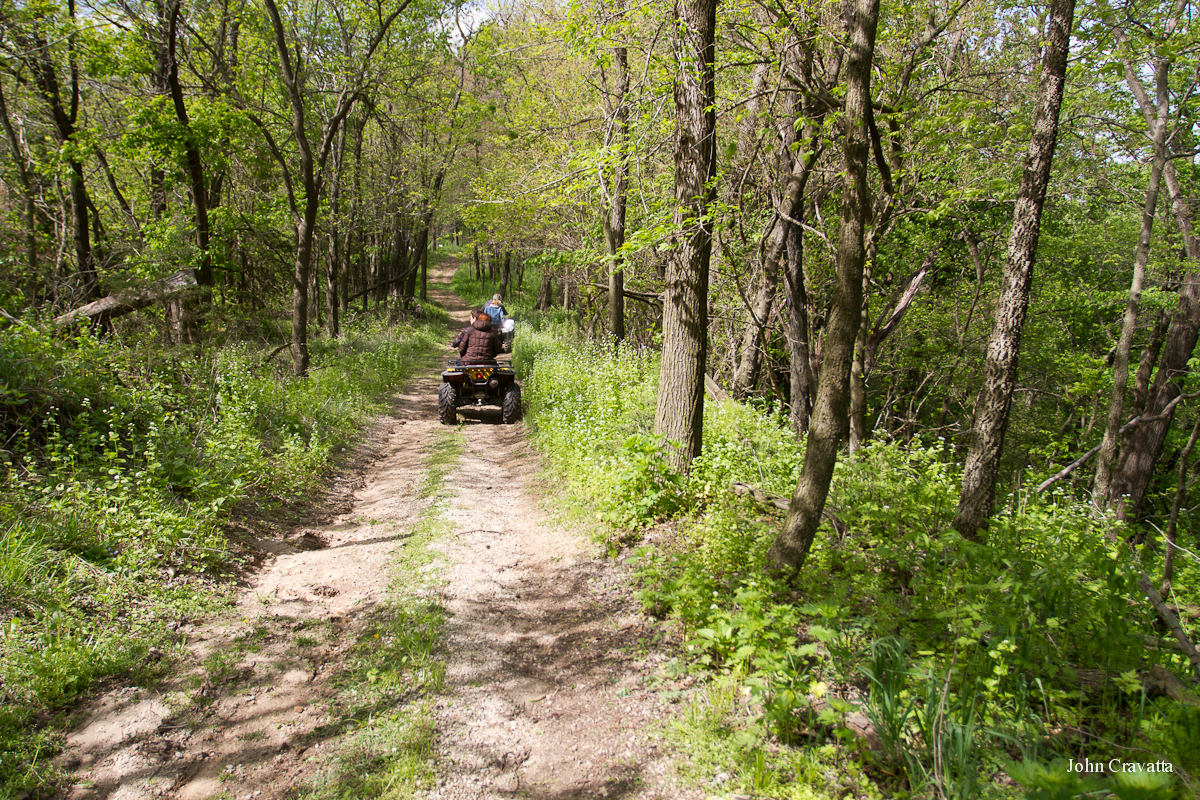 2012-04-22 Morels 087.JPG