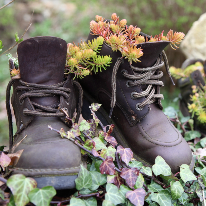 Chaussures fleuries