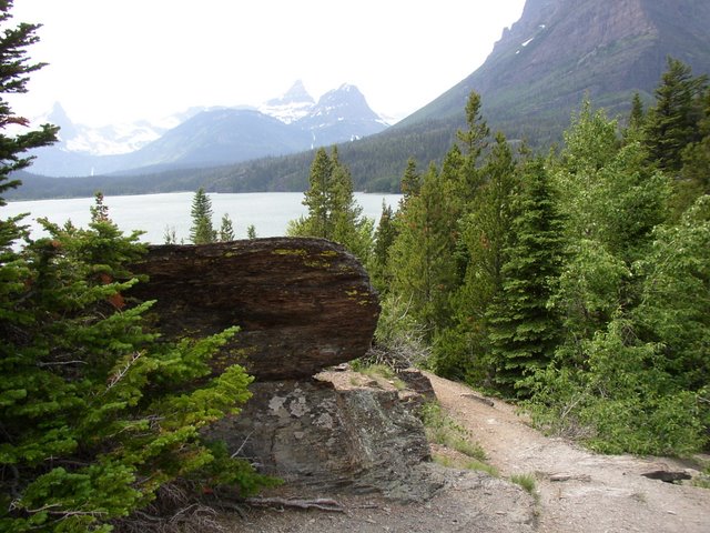 P1010085 rock by trail toward lake.JPG