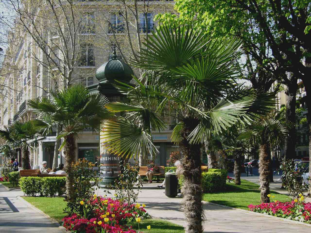 <strong>Rue Achille Peretti</strong>