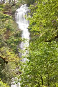 o6/75/861075/1/144315765.zRFpJ0f2.LowMunsonFalls_04.jpg