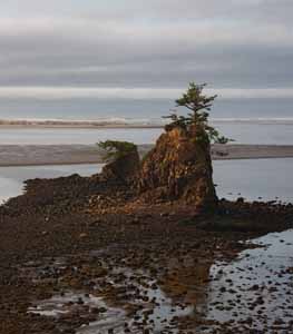_DSC3057a.jpg