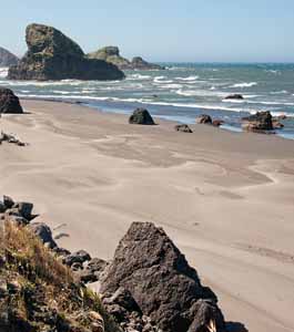 Along the Oregon Coast