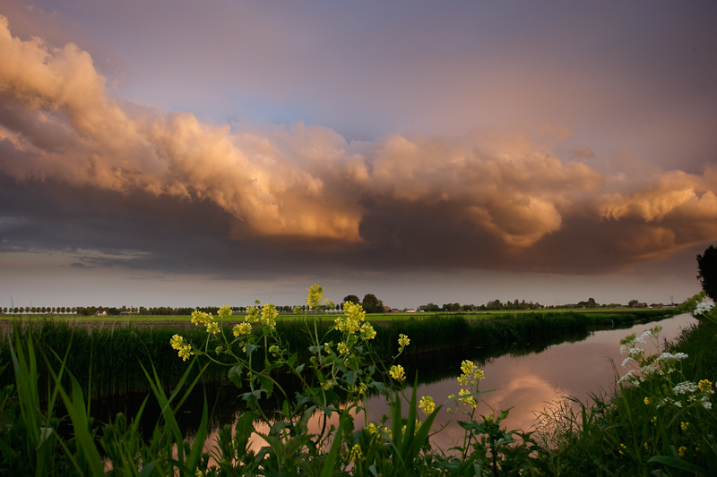 Landscapes: The Netherlands -