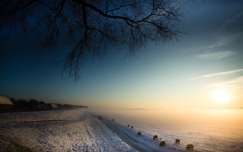 Landscapes: The Netherlands -