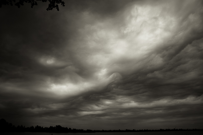 Landscapes: The Netherlands -