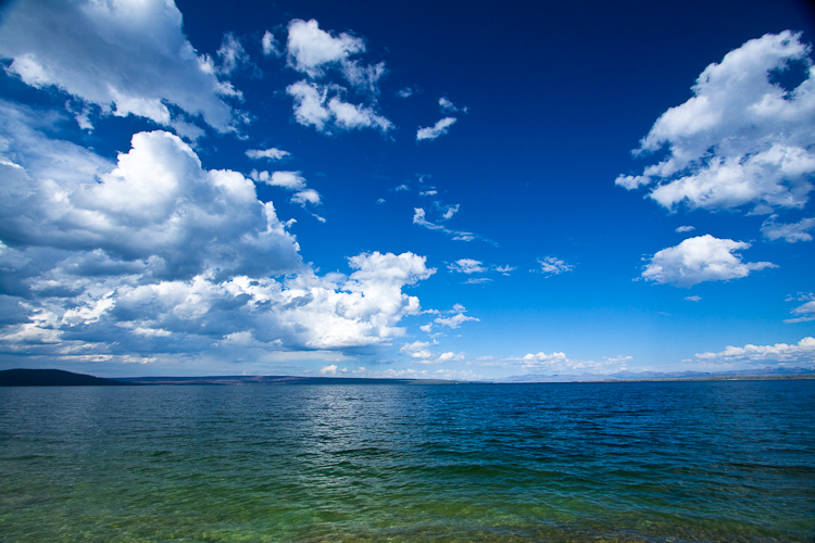 _MG_6980.jpg