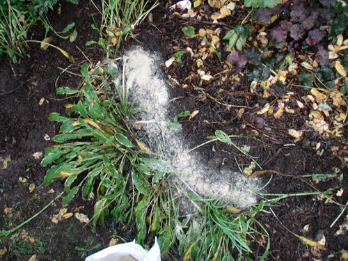 P9280020sm.jpg