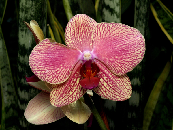 P3263923sm.jpg