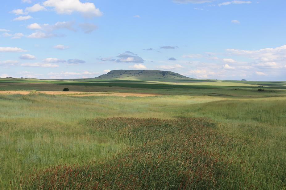 Omgeving Drakensberg