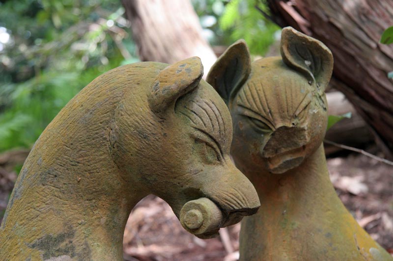 ancient inari foxes