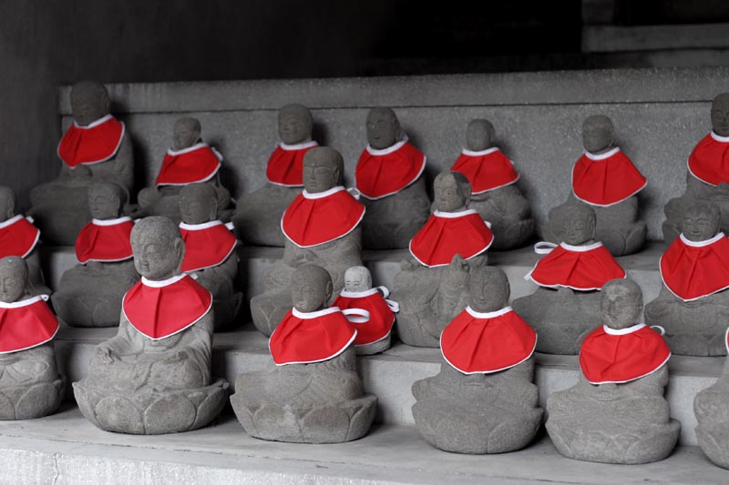 a buddha baby