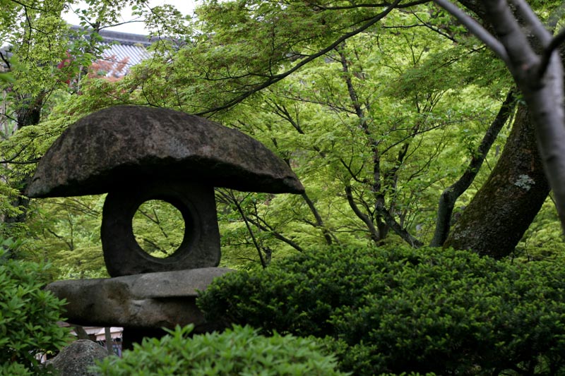 stone toad