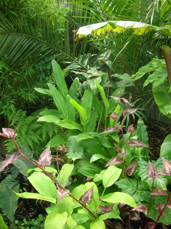 DSCN1495.JPG