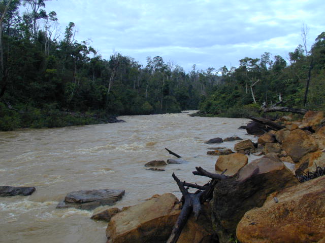 sungai sangatta