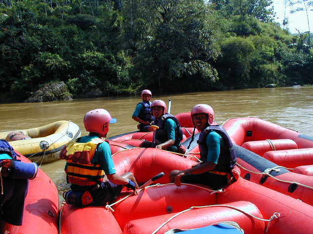 guide yg prof