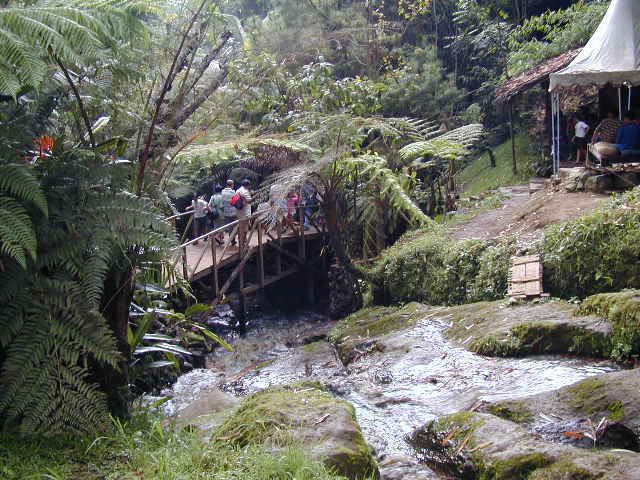 kampung daun