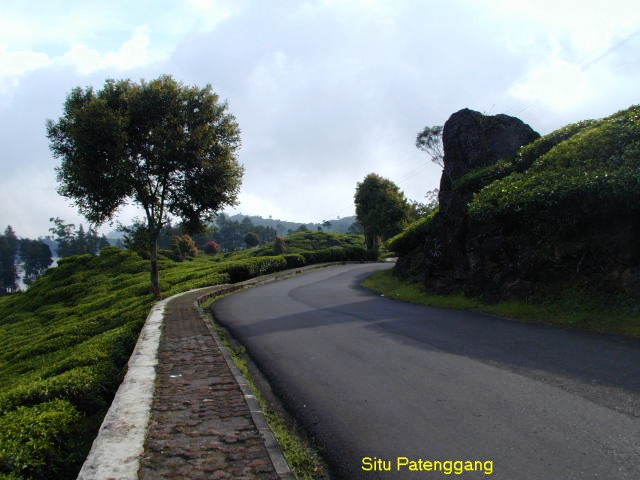 Perkebunan Teh Ranca Bali
