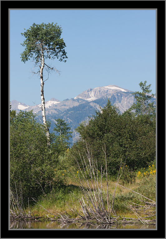 South Peak View