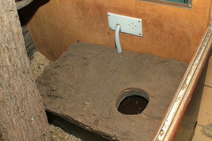nest box.jpg
