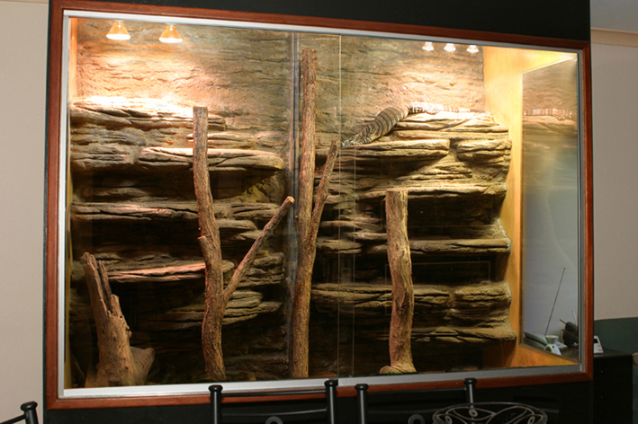 enclosure low res.jpg