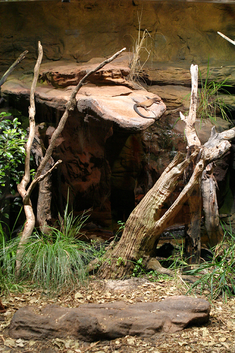 enclosure portrait lo res.jpg
