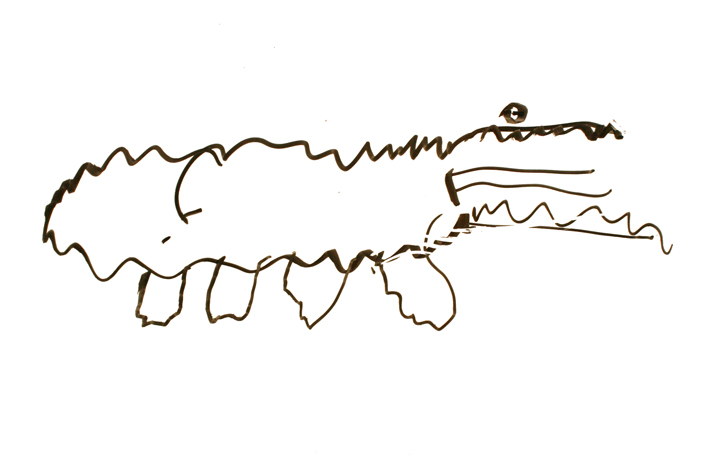 crocodile.jpg