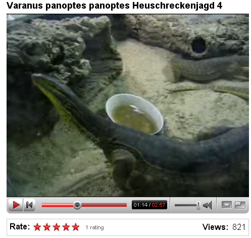 V panoptes panoptes.jpg