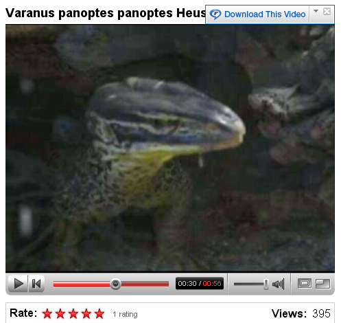 V panoptes panoptes 2.jpg