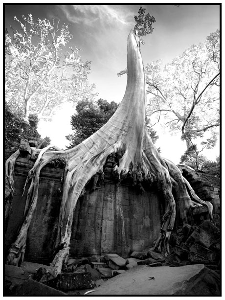 Ta Phrom  #2 ~ Siem  Reab