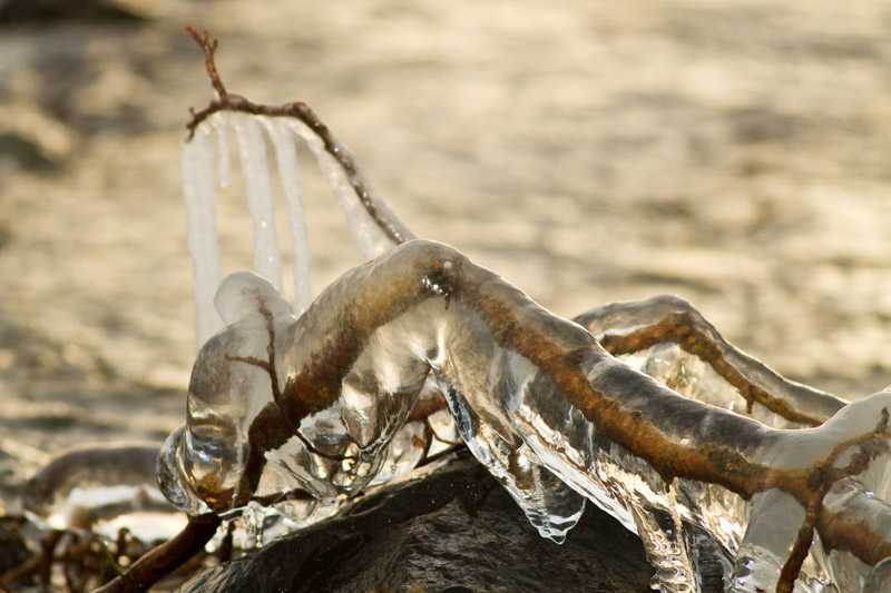 Ice covered most items next to the river.