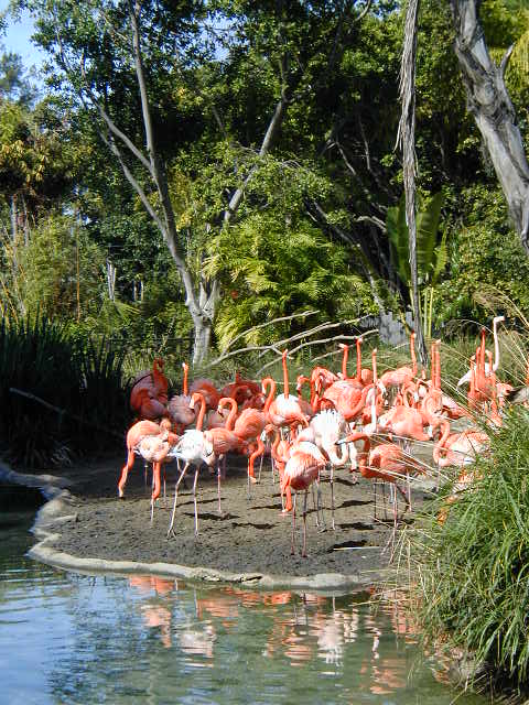 P1010002.JPG