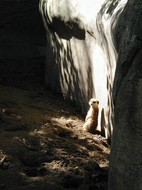 P1010021.JPG