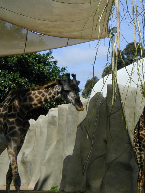 P1010039.JPG