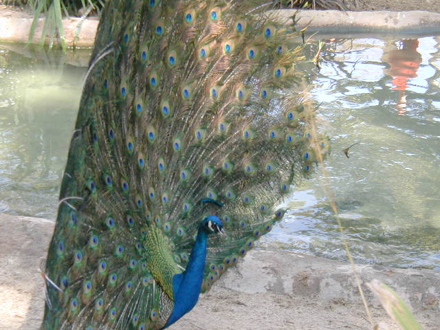 P1010076.JPG