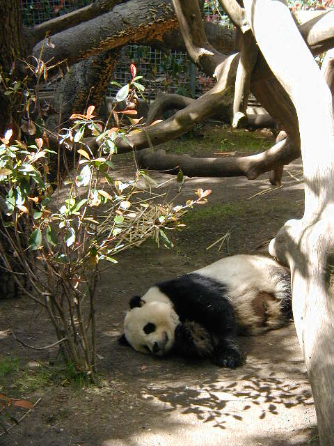 P1010095.JPG