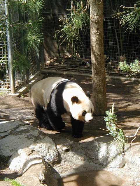 P1010101.JPG