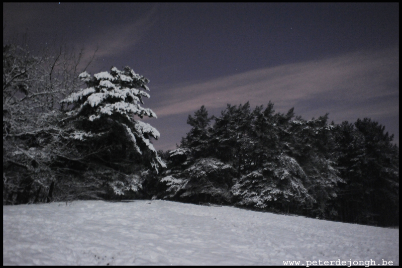 winter